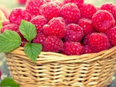 ინფორმაცია სოფლად /და არა მარტო სოფლად/ მცხოვრები ახალგაზრდებისთვის!