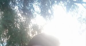 დავით ჩხარტიშვილი: X-ე) დასკვნითი ეპიზოდი / „მივმართავ მათ, – ვისზეც დამოკიდებულია საქართველოს ახალი ისტორიის დაწერა!..“