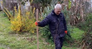 დავით ჩხარტიშვილი: XI_დ), ეპილოგი / „მივმართავ მათ, – ვისზეც დამოკიდებულია საქართველოს ახალი ისტორიის დაწერა!..“