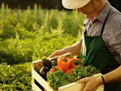 იწყება საერთაშორისო პროექტი AGRIPERMA