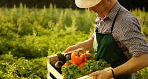 იწყება საერთაშორისო პროექტი AGRIPERMA